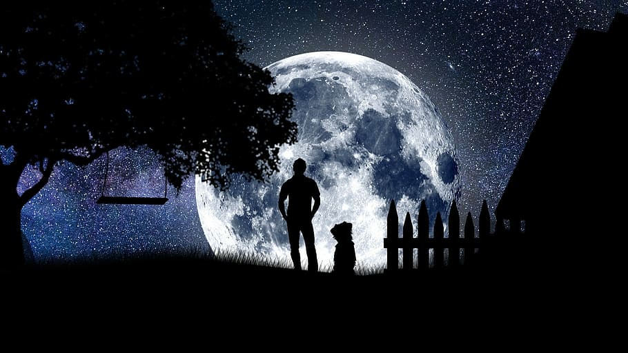 silhouette photo of person standing beside dog watching moon
