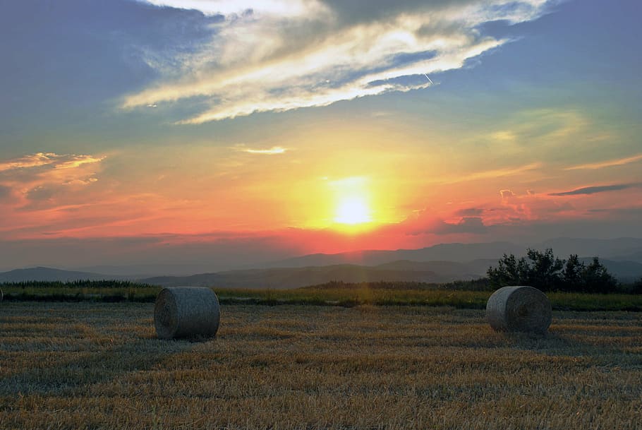 nature, bale, hay, sky, wheat, landscape, haystack, country HD wallpaper