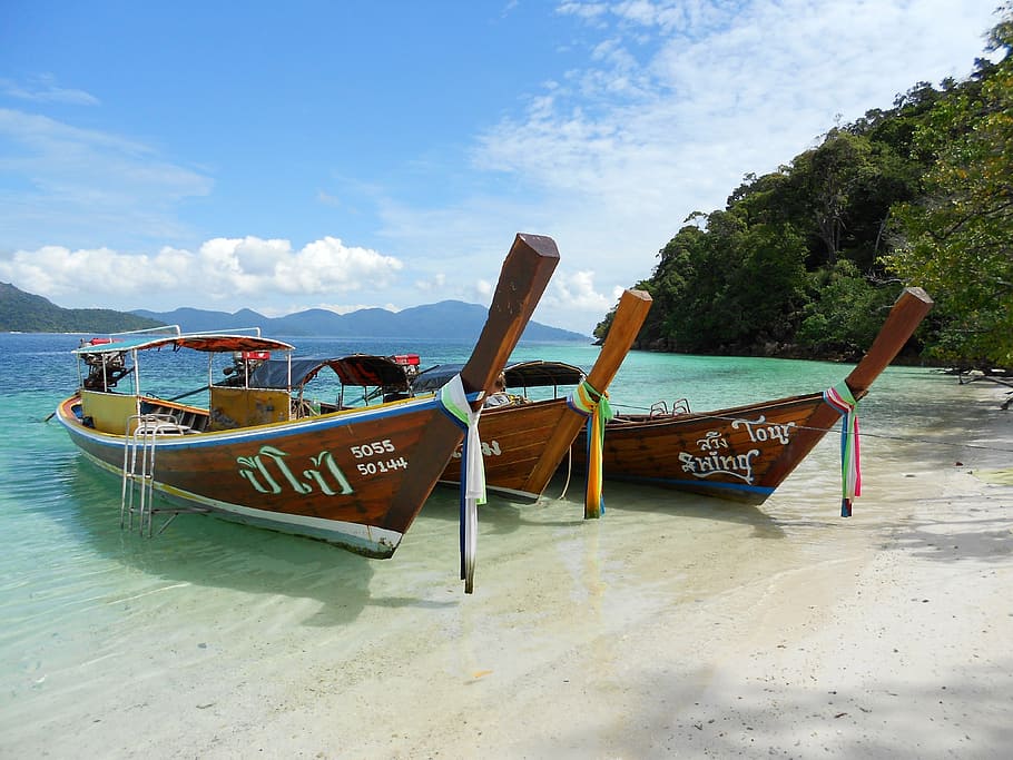 three brown wooden boats near trees, thailand, sea, tropical
