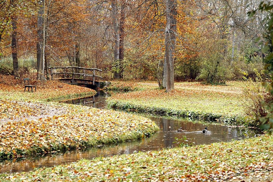 landscape photorgaphy of body of water, River, Nature, Fall HD wallpaper