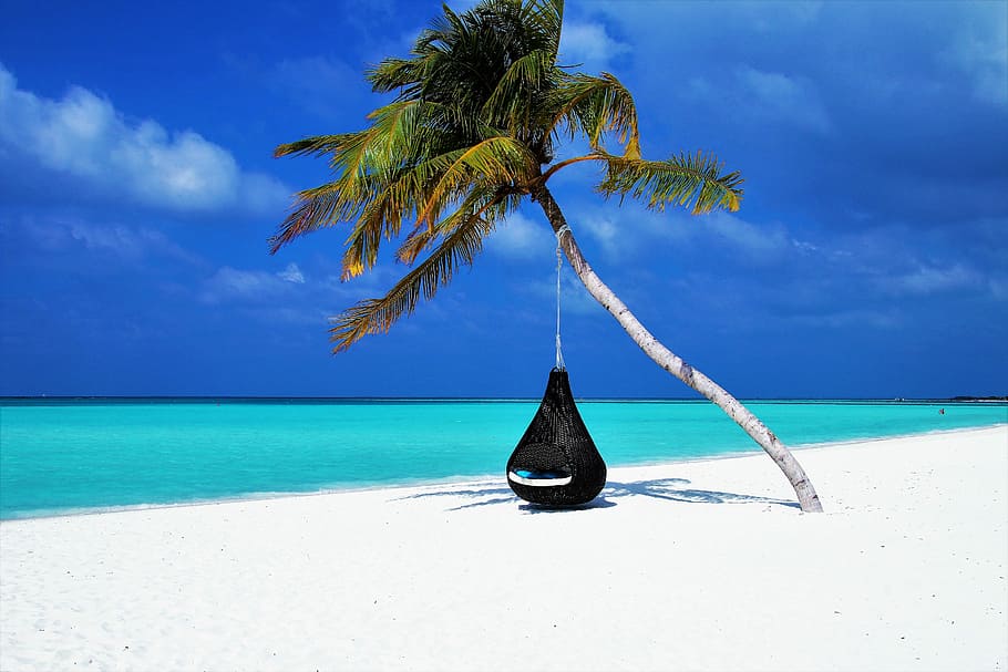 black hammock under coconut tree on seashore, maldives, palma