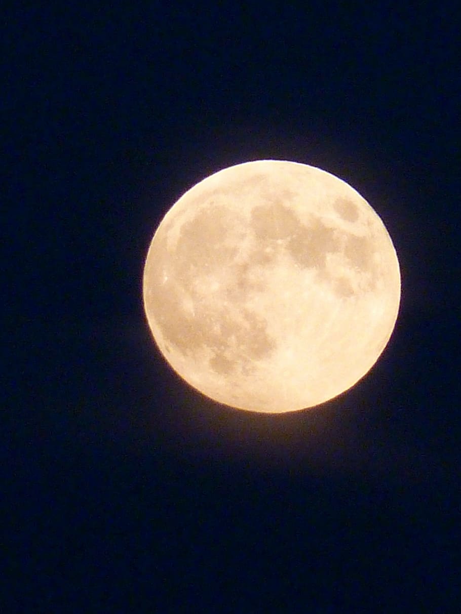 selective focus of full moon, night, romance, moonlight, mystical HD wallpaper