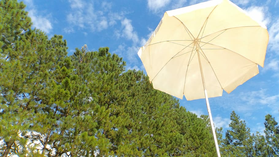 Ceu, Beach, Sol, green, tree, low angle view, sky, nature, cloud - sky HD wallpaper