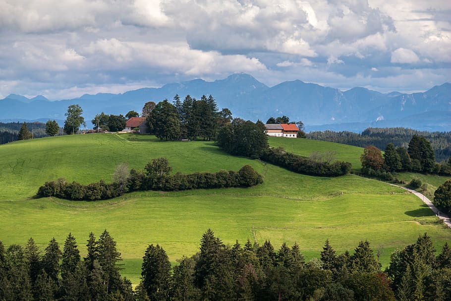hill, alpine, clouds, sky, sweet, romantic, romance, mood, agriculture HD wallpaper
