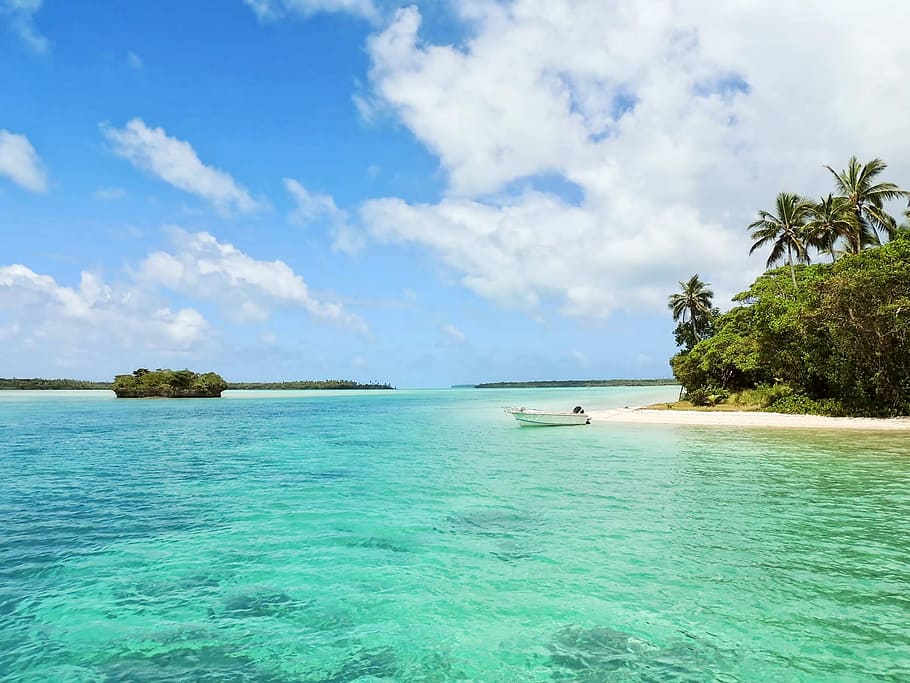 white boat on body of water near green palm trees, body of water during daytime HD wallpaper