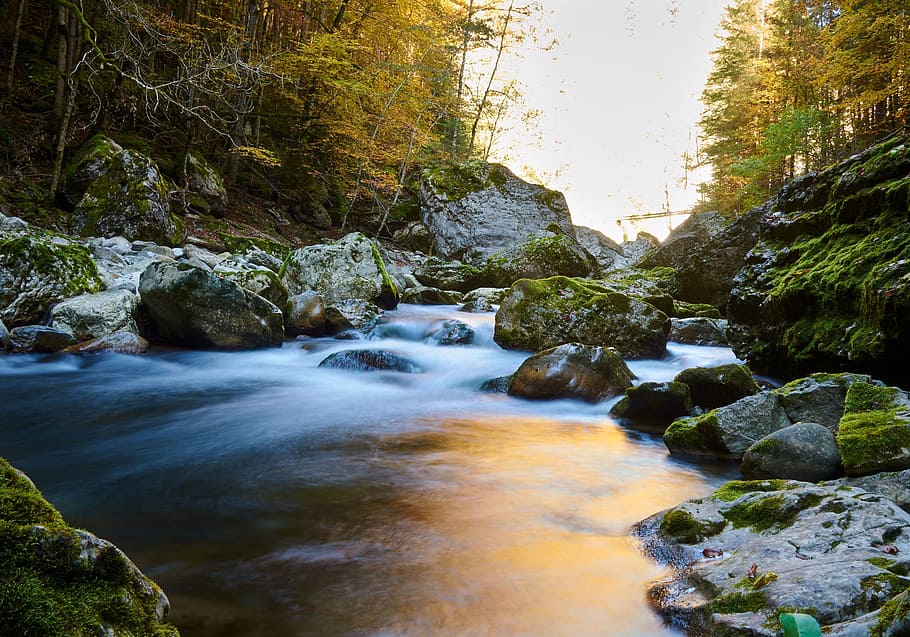 trees, plant, nature, stream, water, rocks, moss, wet, solid HD wallpaper
