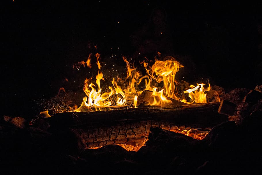 flame log, fire, wood, cool, shelter, warmth, lonely, clean, canon, HD wallpaper