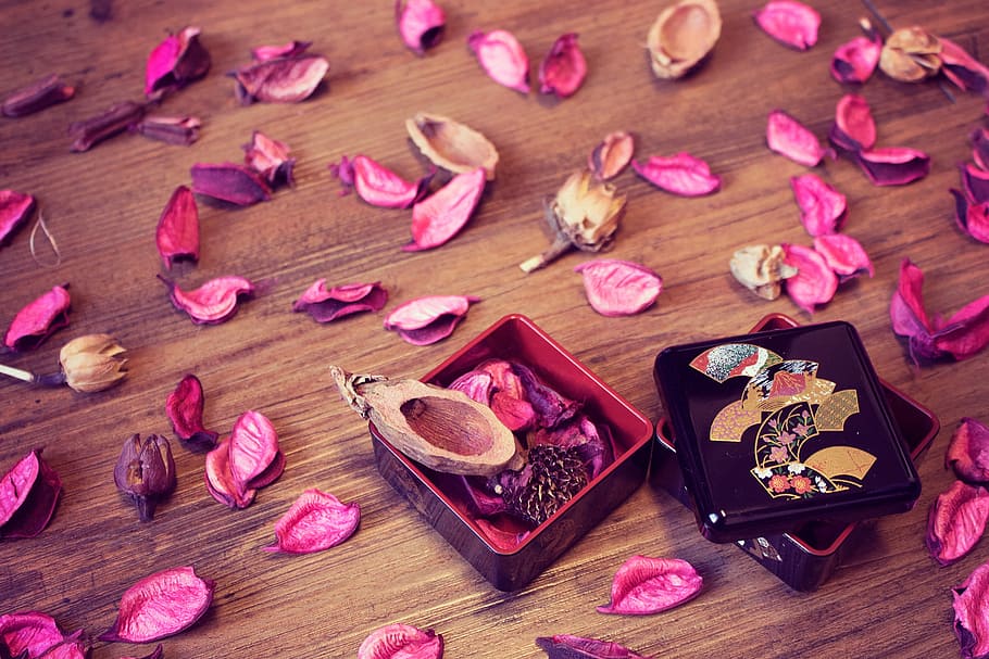 pink petals, wood - Material, love, decoration, heart Shape, romance HD wallpaper