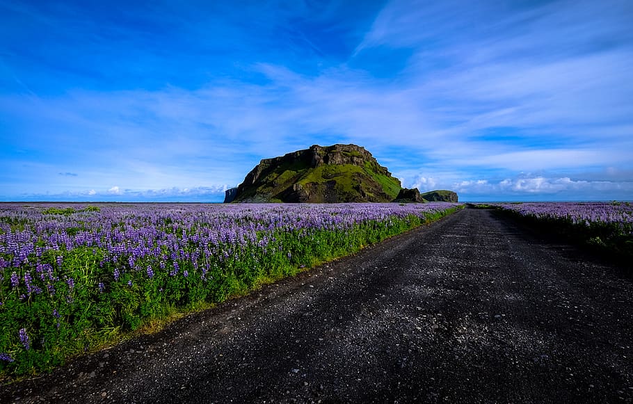 road, landscape, nature, sky, calm, clouds, countryside, daylight HD wallpaper