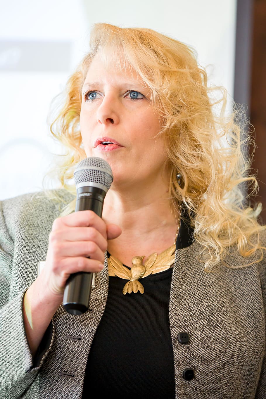 woman holding microphone, Speaker, Teaching, Training, Business
