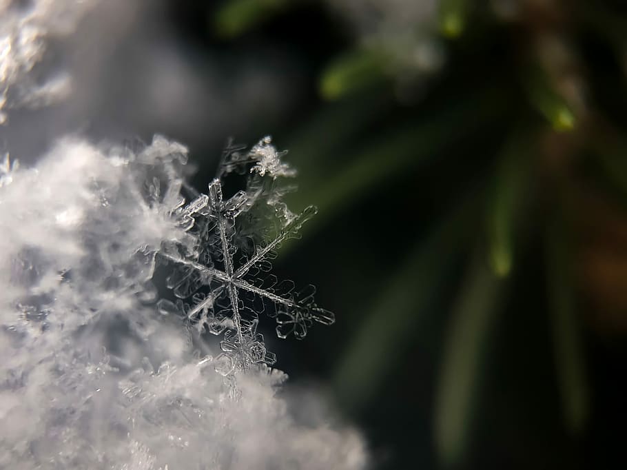 focus photography of snow flakes, selective focus of snow flake HD wallpaper