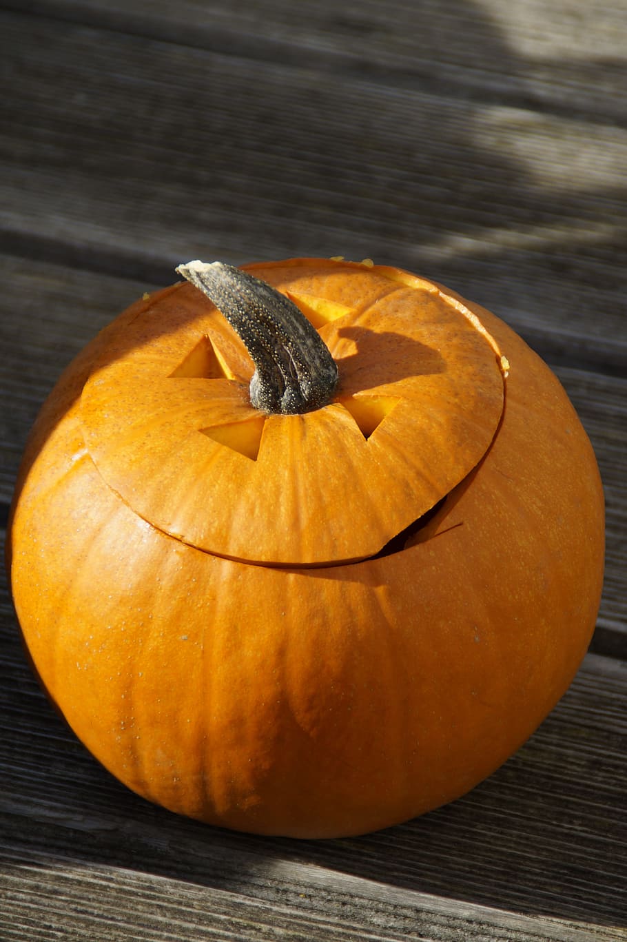 Pumpkin, Orange, pumpkins, bright, autumn, autumn decoration HD wallpaper