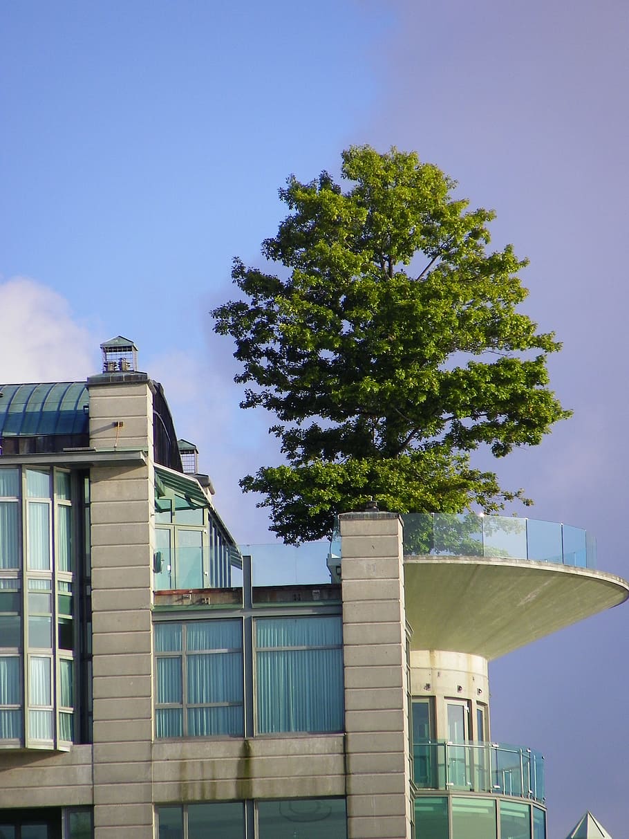 Tree, Building, Vancouver, Roof, architecture, balcony, modern HD wallpaper