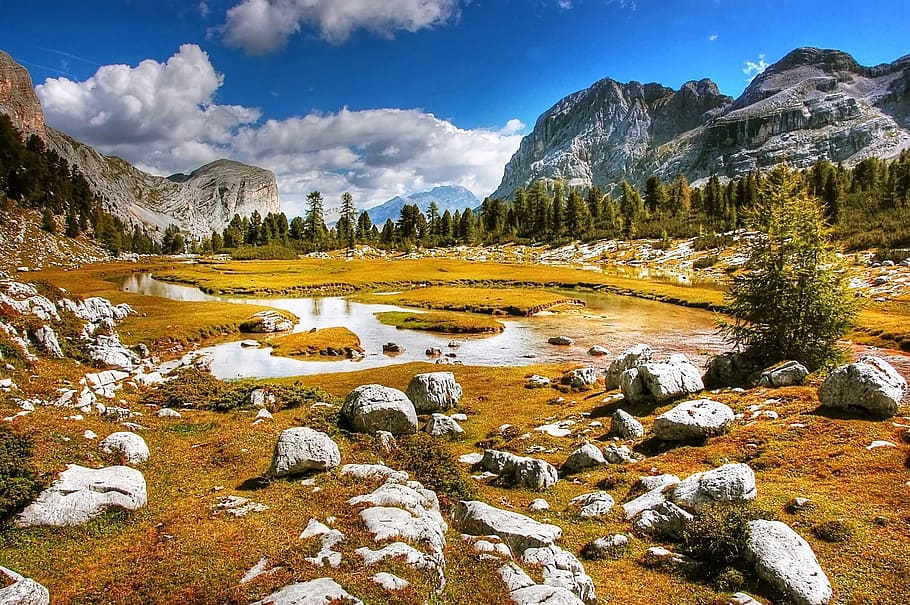 wood, landscape, nature, sky, clouds, daylight, grass, lake, mountain HD wallpaper
