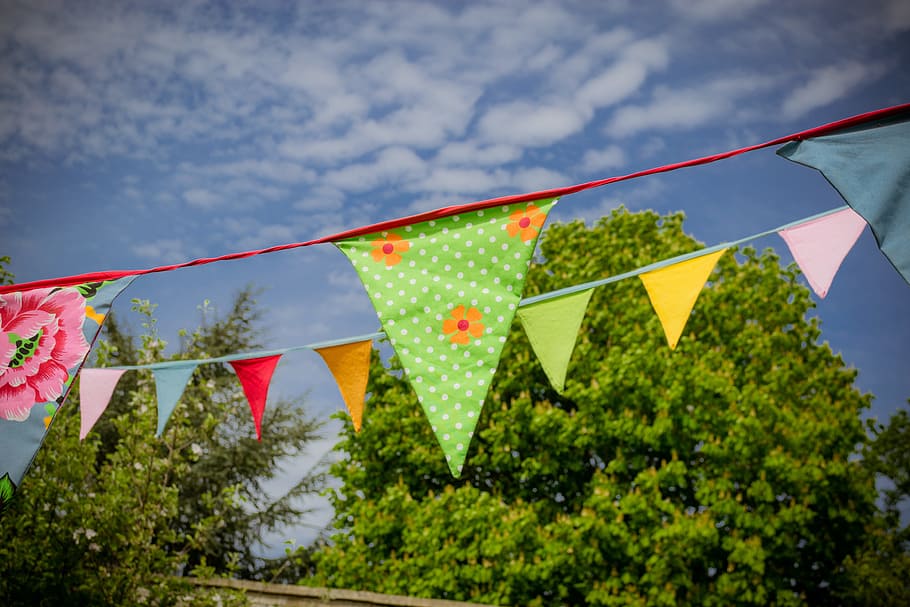 assorted-color buntings near green leaf tree, flags, celebration HD wallpaper