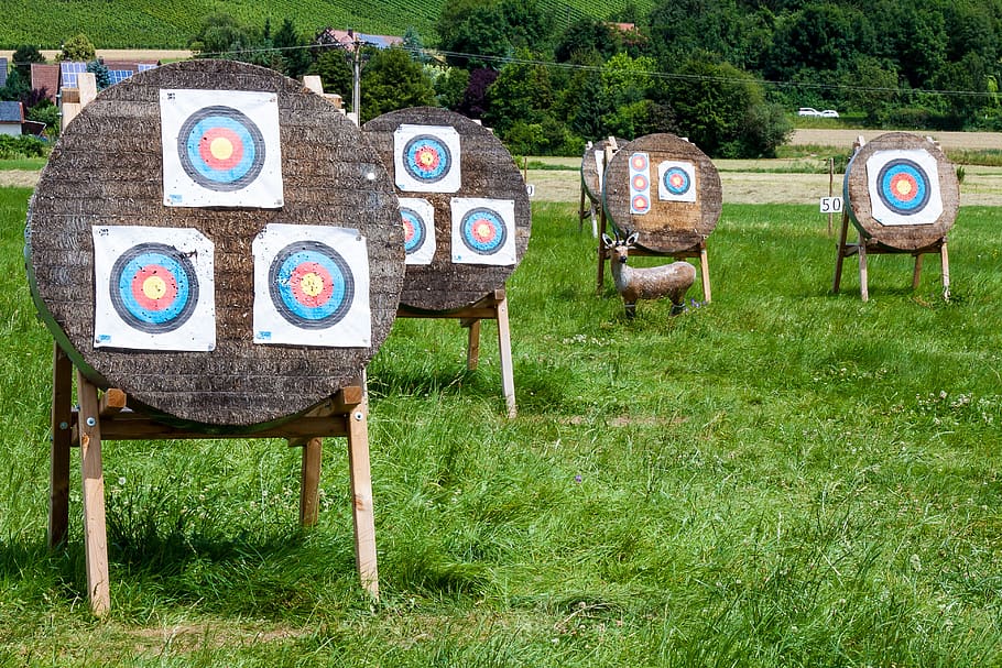 target, objectives, archery, meeting, plant, grass, field, day HD wallpaper