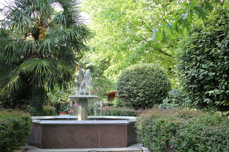 Fontana, Garden, Flowers, Plants, public space, pistoia, tuscany, HD wallpaper
