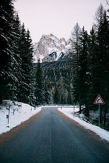 gray concrete road between green trees at daytime, concrete road with snow-capped mountain at distance HD wallpaper
