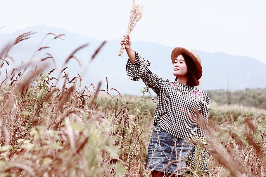 wheat, farm, character, young adult, happiness, one person HD wallpaper