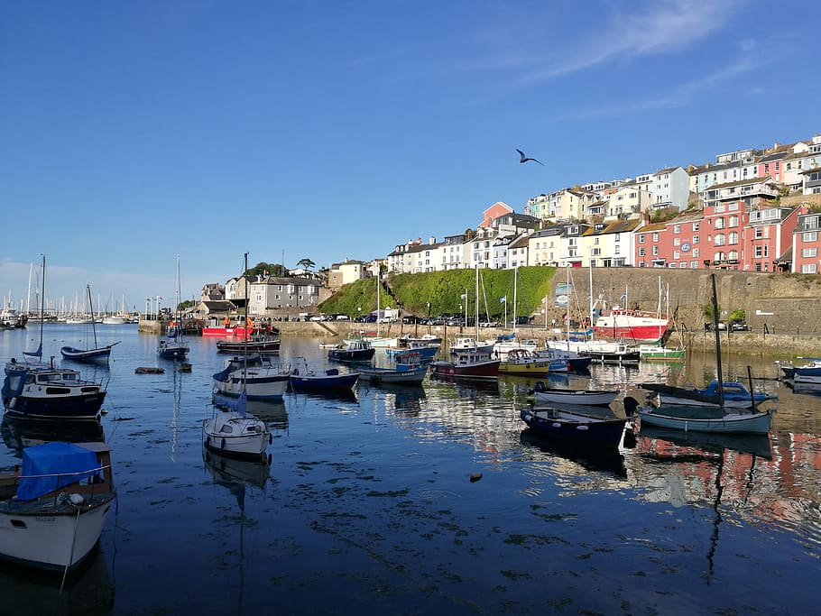 brixham, harbour, devon, fishing, boat, quay, nautical vessel, HD wallpaper