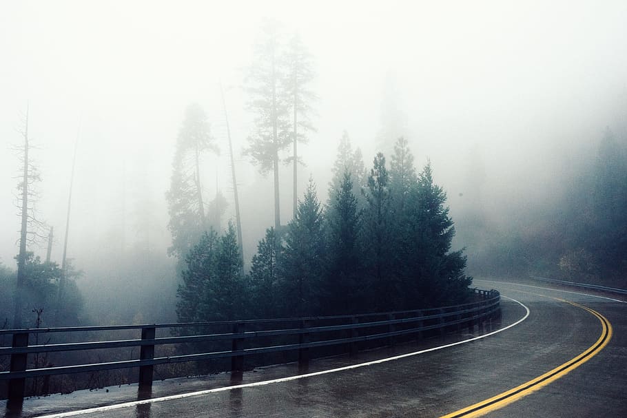black concrete road photorgraphy, curve, wet, rainy, forest, fog