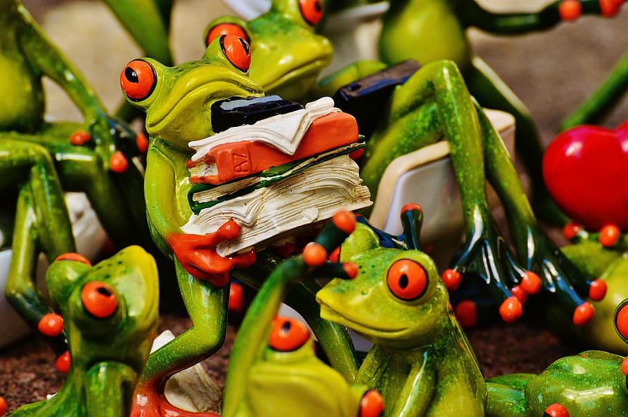 frogs, many, group, collection, cute, sweet, mass, funny, food and drink HD wallpaper