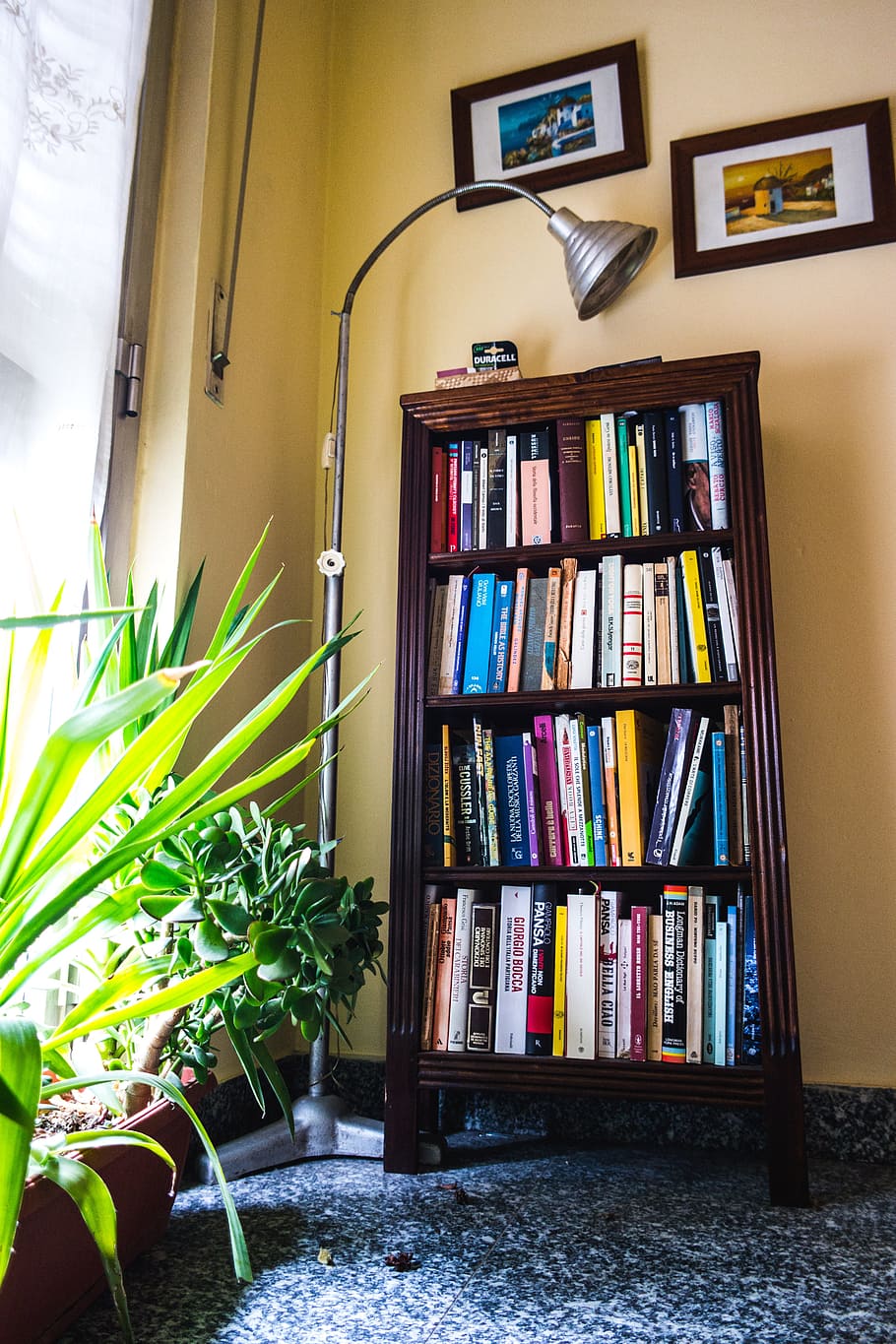 HD wallpaper: books, lamp, plants, room, bookcase, bookshelves