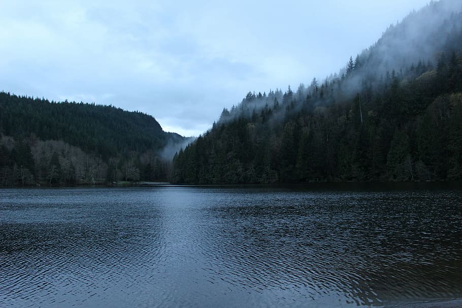 body of water between trees, large body of water near mountain under gray sky during daytime HD wallpaper