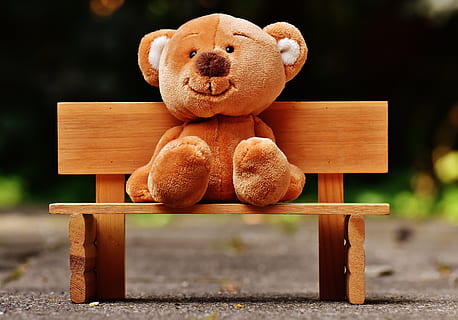 brown teddy bear plush ton sitting on bench, bank, fun, funny HD wallpaper