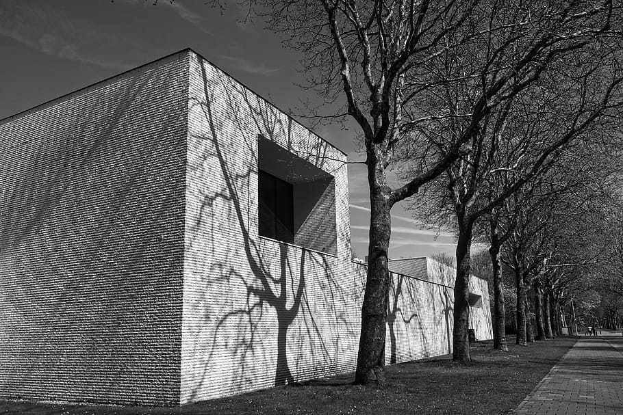grayscale photography of concrete building near bare trees HD wallpaper