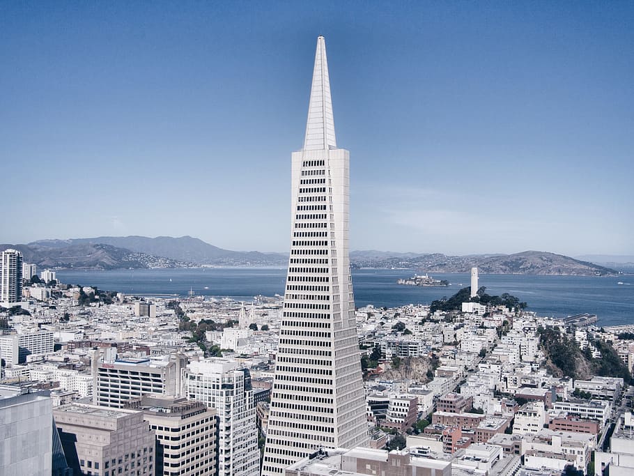 white tower surrounded with buildings, structure, san francisco HD wallpaper