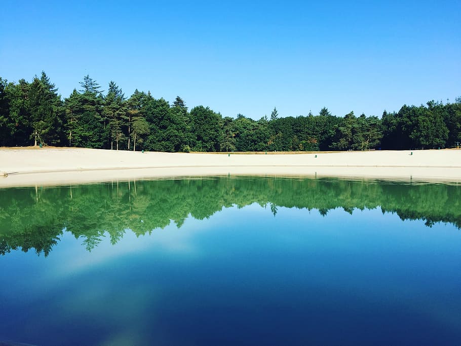 Forest, Nature, Blue Sky, Beach, more, mirror, water, lake HD wallpaper