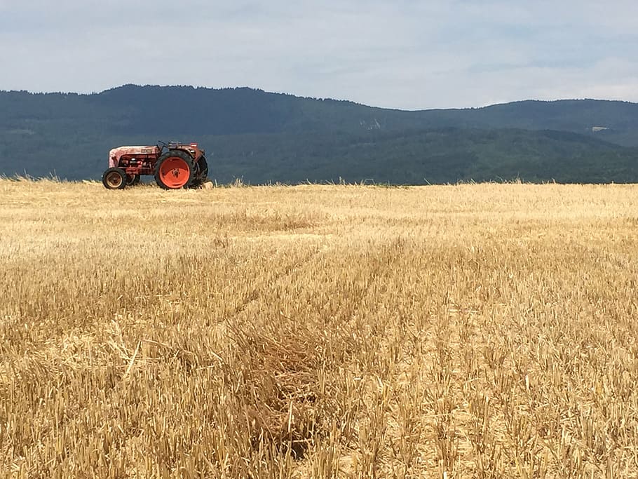 tractor, sun, summer, land, field, transportation, plant, agriculture HD wallpaper