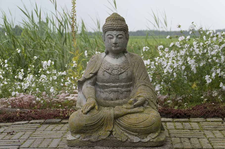 buddha, image, garden, statue, sculpture, human representation HD wallpaper