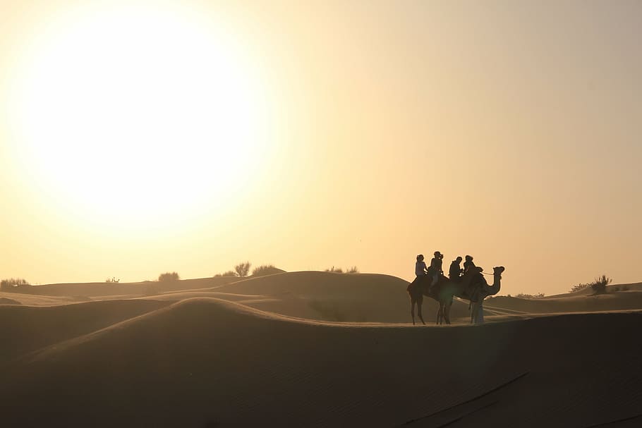 HD wallpaper: silhouette of person riding camel during sunset, dubai, desert  | Wallpaper Flare