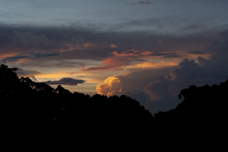 sunset, landscape, sky, color, silhouettes, trees, clouds, cloud - sky HD wallpaper