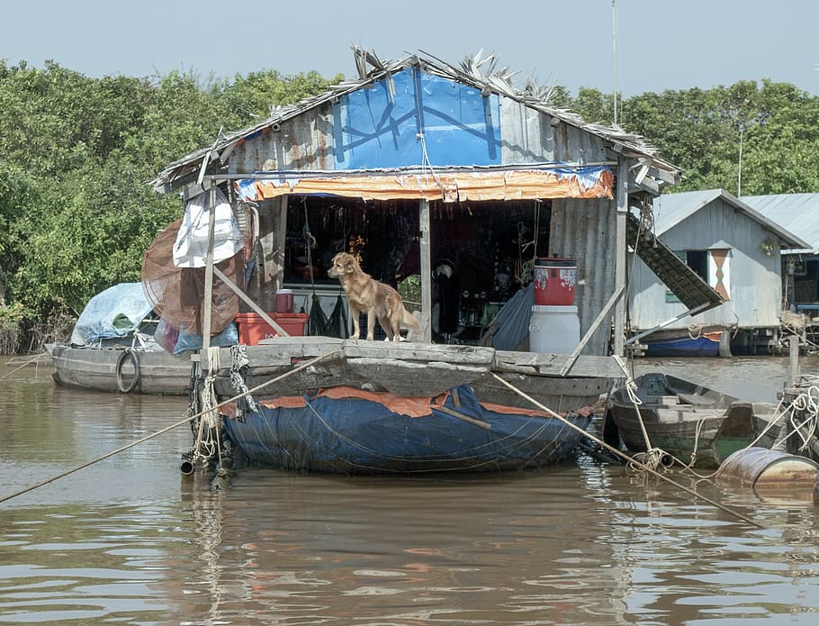 shack, hut, cabin, poverty, cambodia, tonle sap lake, asia HD wallpaper