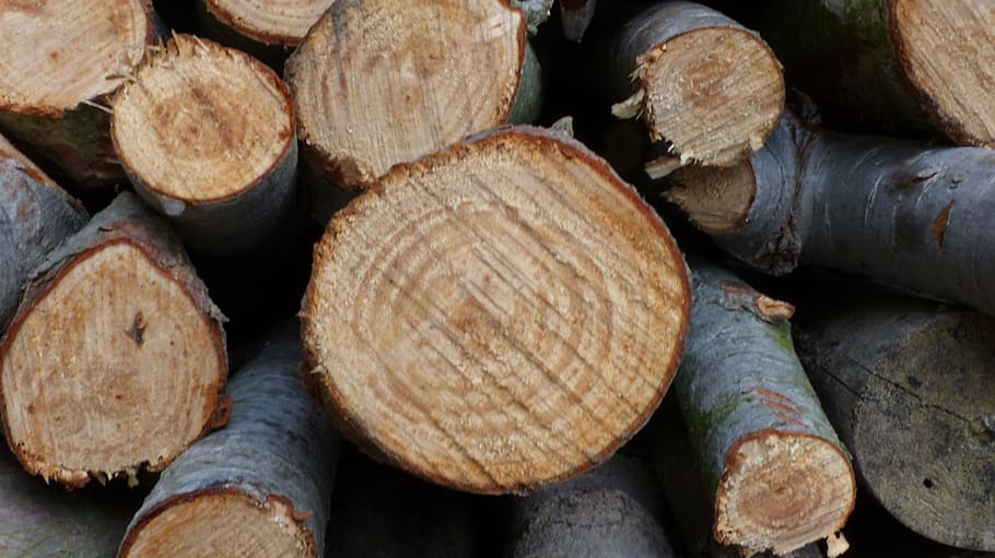 wood, fireplace, tree, timber, lumber industry, forest, stack HD wallpaper