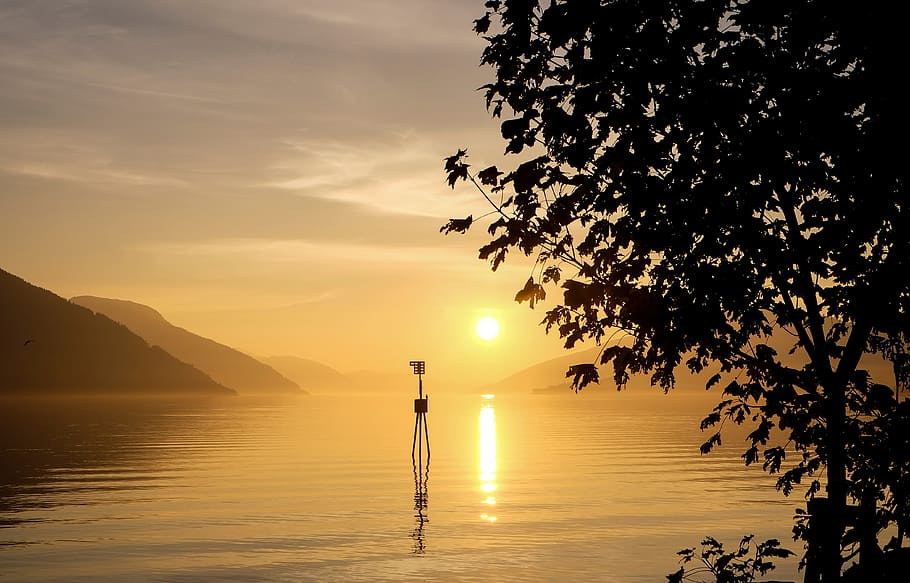 sea, ocean, water, waves, nature, sunlight, sunshine, sunrise HD wallpaper