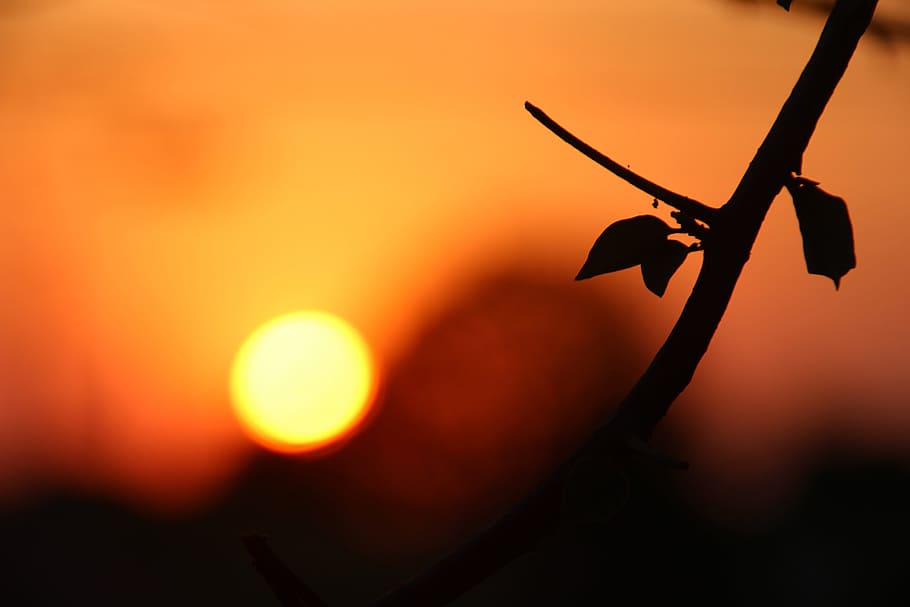 sunset, by sunsets, eventide, horizon, time, sol, against light HD wallpaper