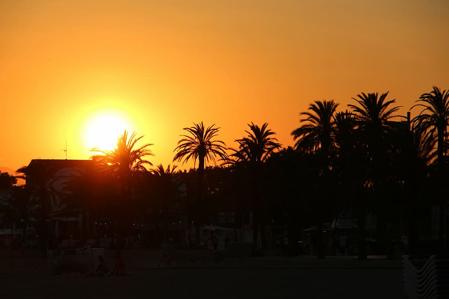 sun, sea, beach, sunset, palm trees, vacations, tropical Climate HD wallpaper