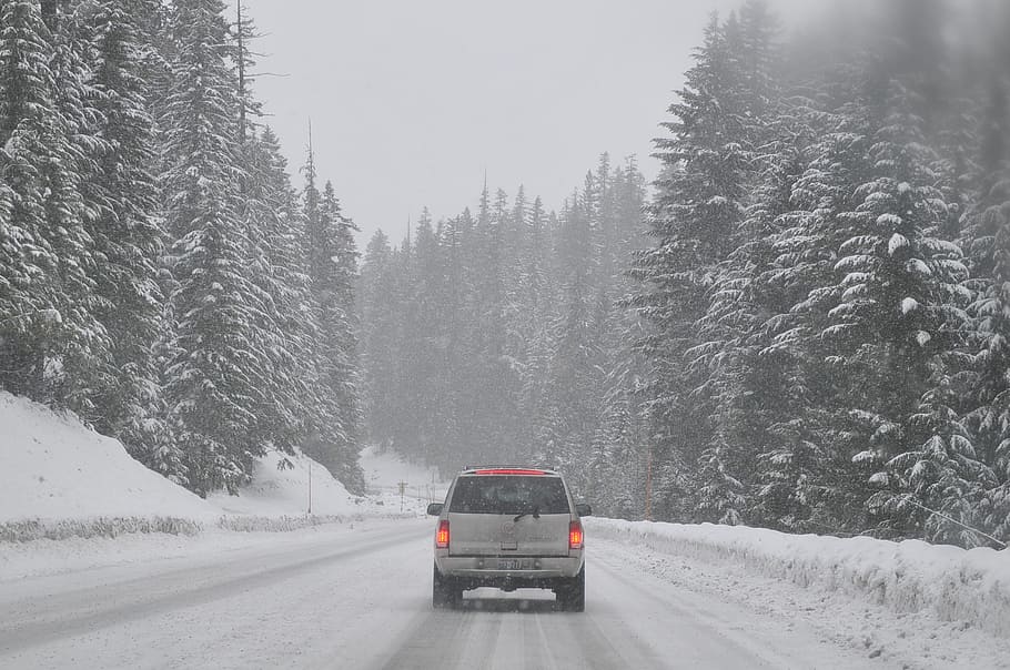 white SUV on road during winter season, car, auto, snowed in HD wallpaper