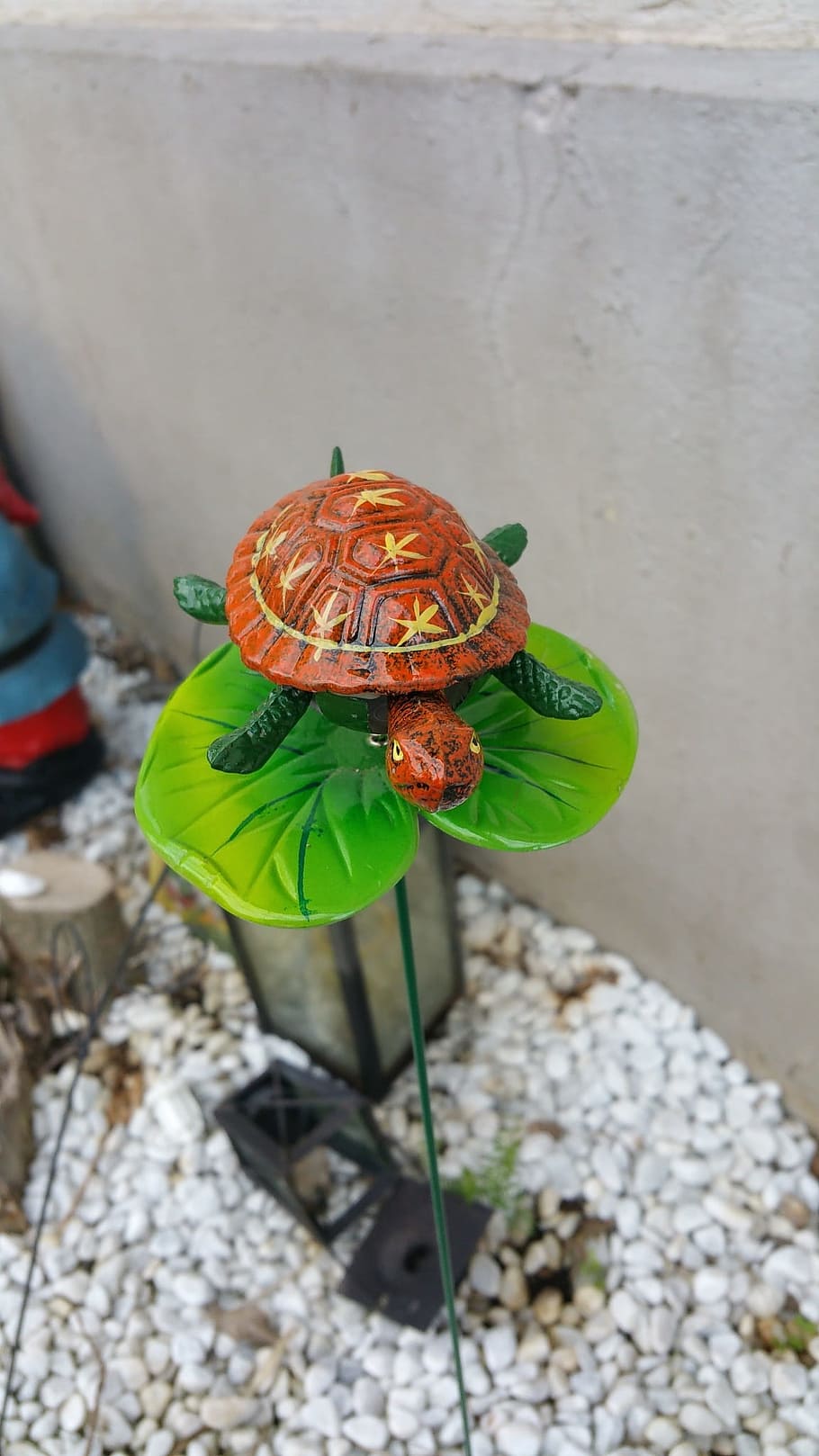 pebble, sheet, turtle, day, nature, animal wildlife, animals in the wild HD wallpaper