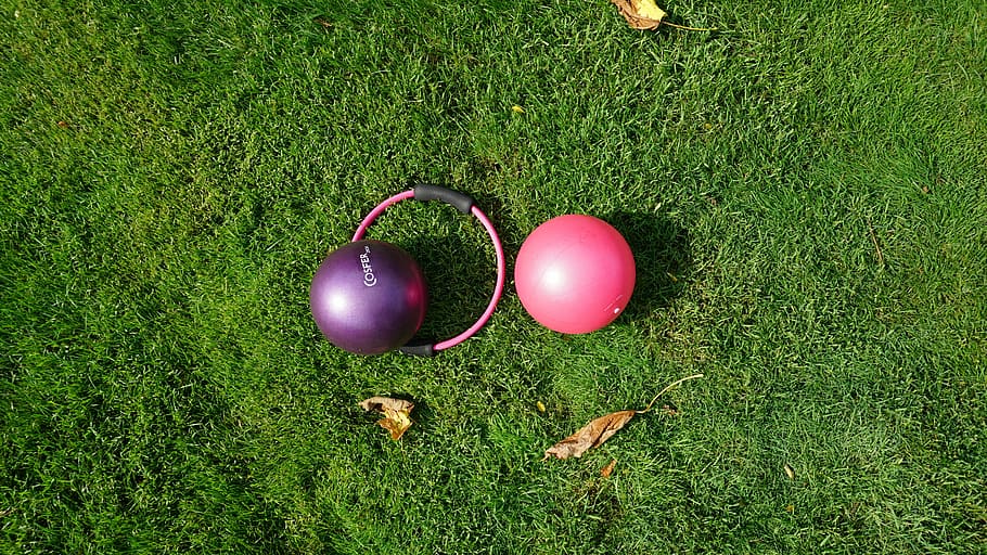 purple and pink stability balls outdoor, open space, green, sports, HD wallpaper
