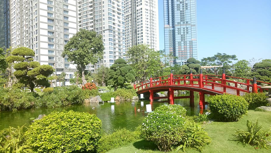 garden, tree, nature, architecture, outdoors, built structure HD wallpaper