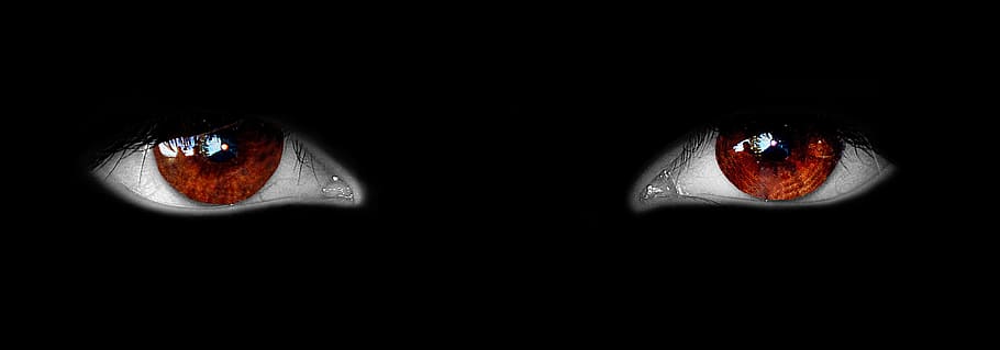 pair of eyes, see, view, iris, pupil, watch, image editing HD wallpaper