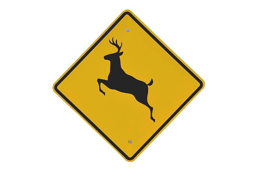 Deer, Crossing, Sign, Wildlife, Caution, deer crossing, symbol, HD wallpaper