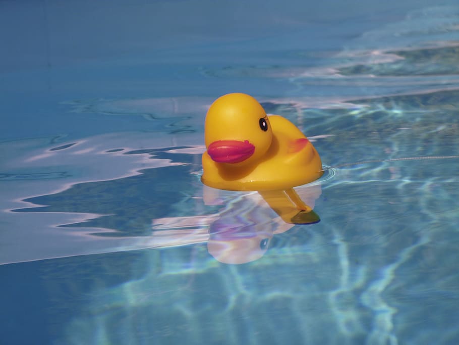 yellow duckling floater on body of water, quietschentchen, pool HD wallpaper