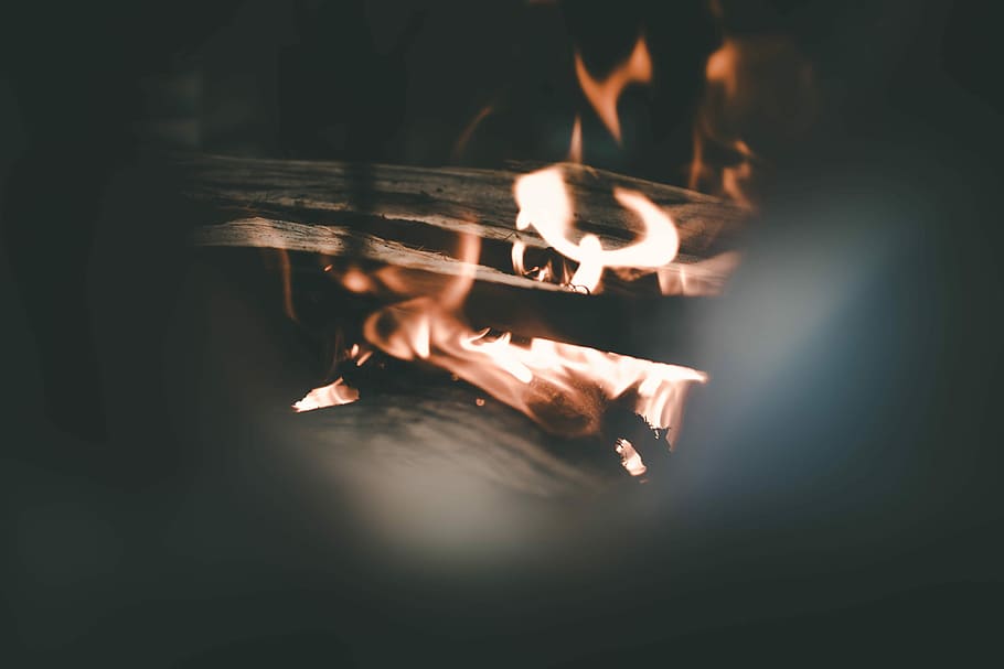Burn, red flame closeup photography, fire, wood, branch, warm HD wallpaper