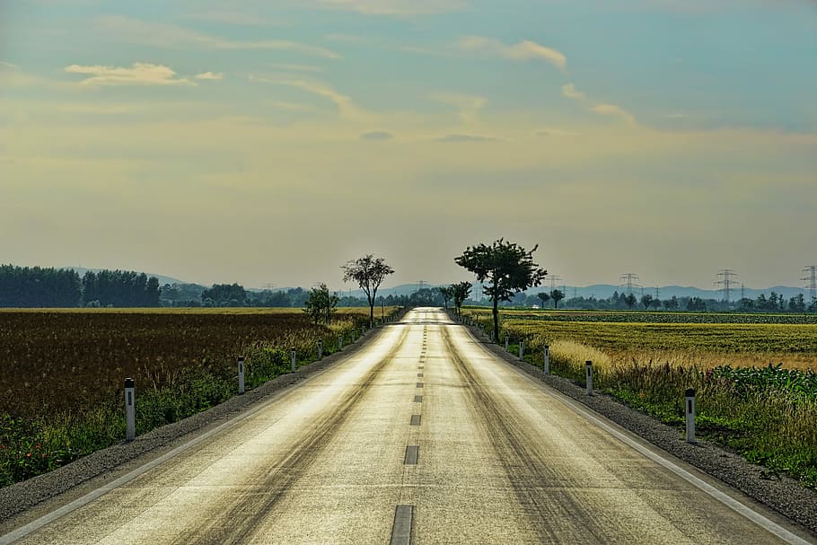 road surrounded by crops, freie straße, abendstimmung, endless